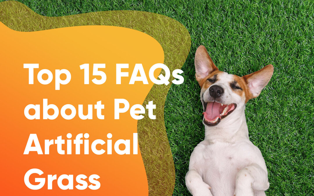Can Dogs Eat Pet Artificial Grass in Vacaville? (+ 15 More FAQs!)