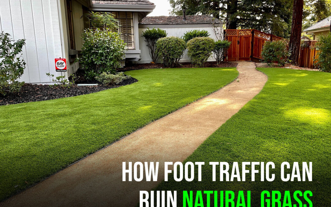 6 Features That Help Artificial Grass in Vacaville Withstand Foot Traffic