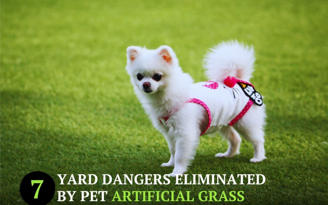 Dog-Safe Yard: 8 Health Risks That Pet Artificial Grass in Vacaville Prevents