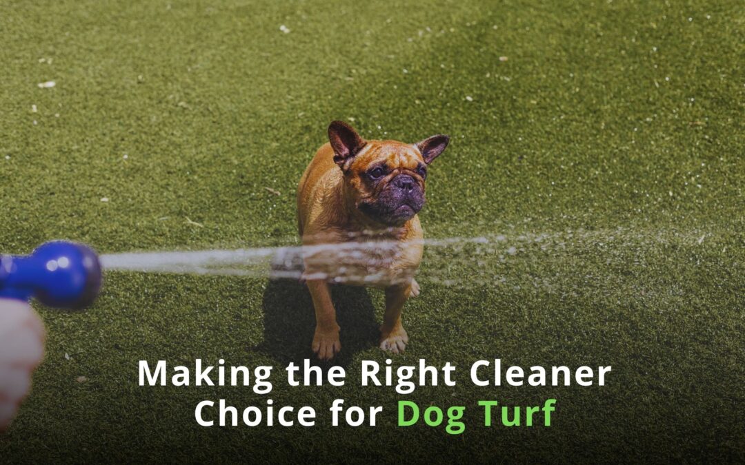 Making the Right Cleaner Choice for Dog Artificial Turf - vacaville