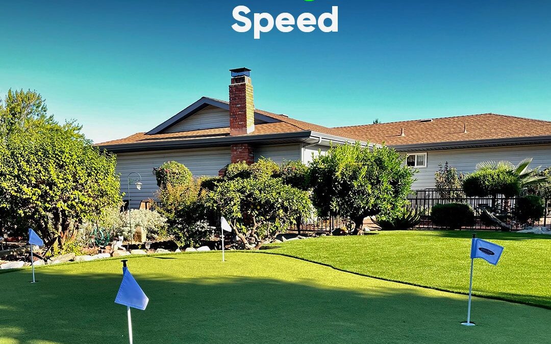 5 Factors That Can Impact Artificial Putting Green Speed and Roll